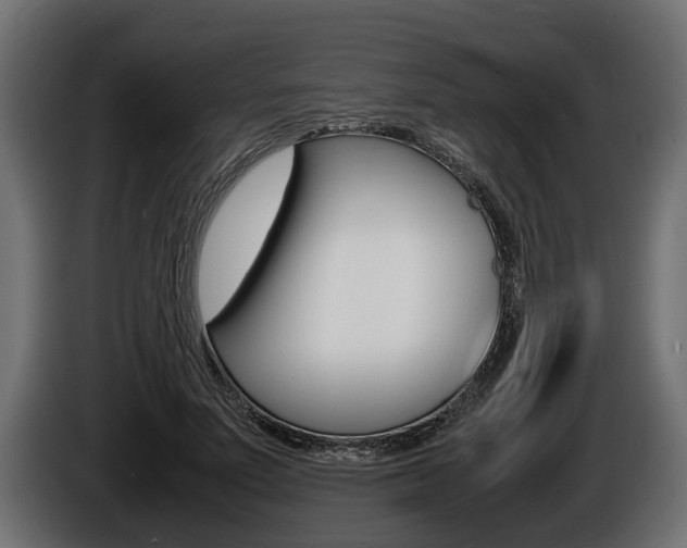 X0000086760691200704130815
