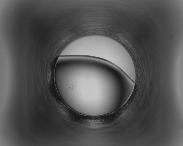 X0000086760693200704130815