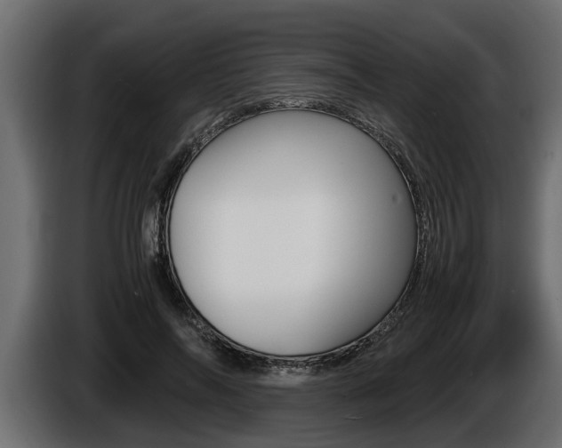 X0000086760694200704130815