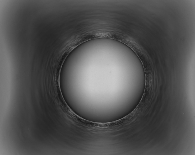 X0000086760696200704130815