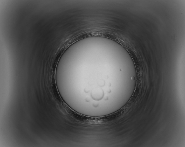 X0000086760698200704130815