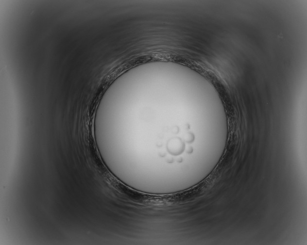 X0000086760702200704130815