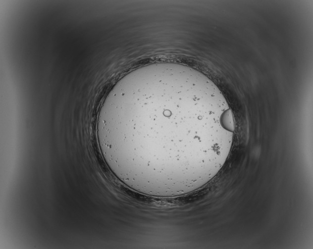 X0000086760703200704130815