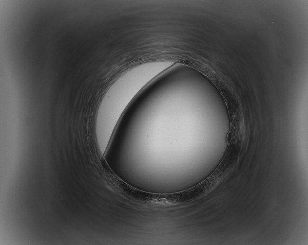 X0000086760704200704130815