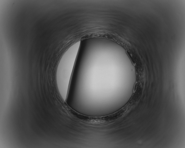 X0000086760708200704130815