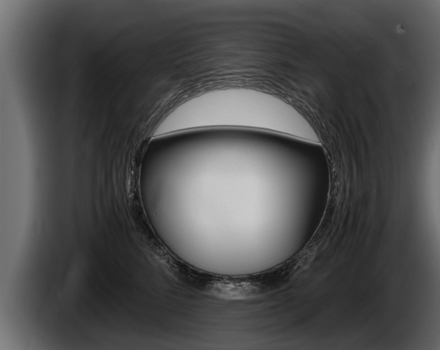 X0000086760712200704130814