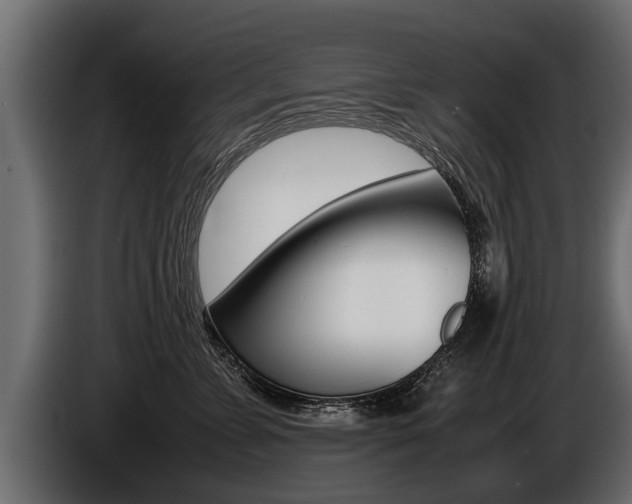 X0000086760715200704130814