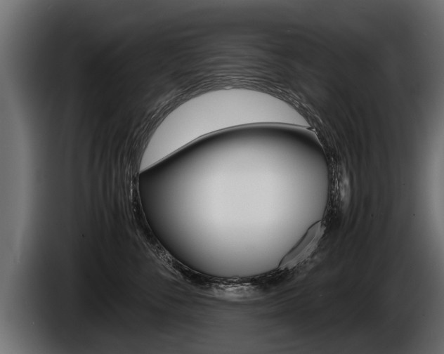 X0000086760716200704130814