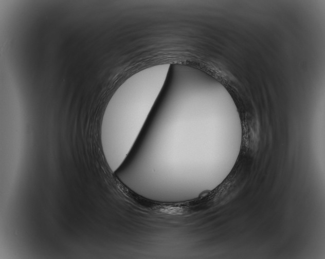 X0000086760718200704130814