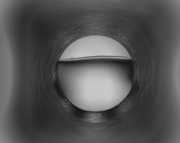 X0000086760719200704130814
