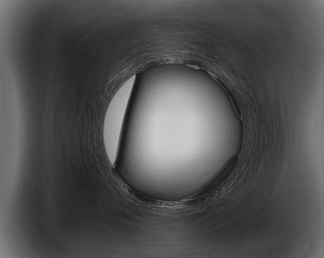 X0000086760720200704130814