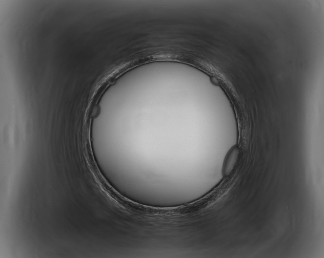 X0000086760721200704130814