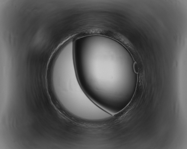 X0000086760722200704130814