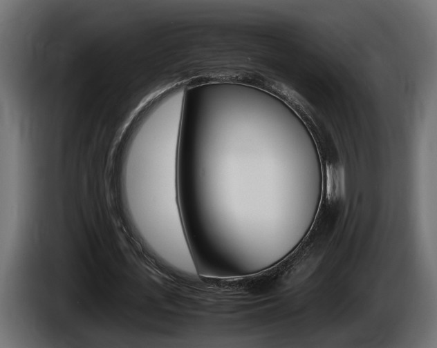 X0000086760723200704130814