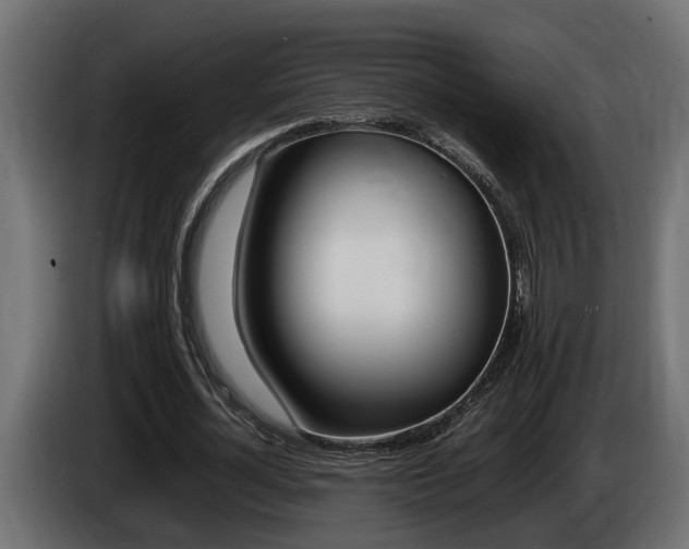 X0000086760724200704130814