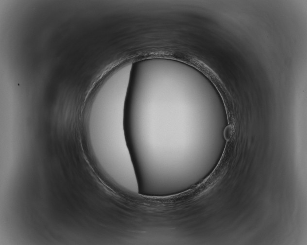 X0000086760725200704130814