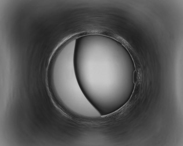 X0000086760726200704130814