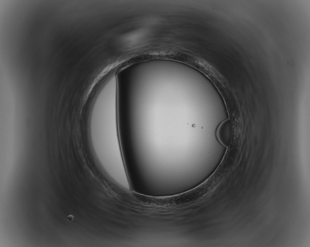 X0000086760727200704130814