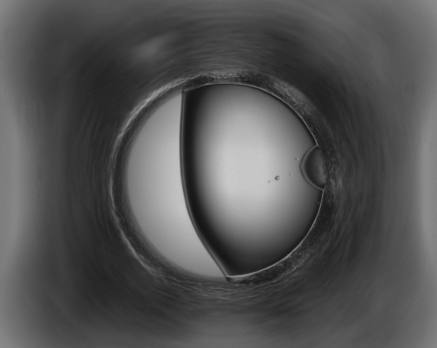 X0000086760728200704130814