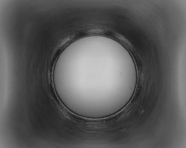 X0000086760729200704130814