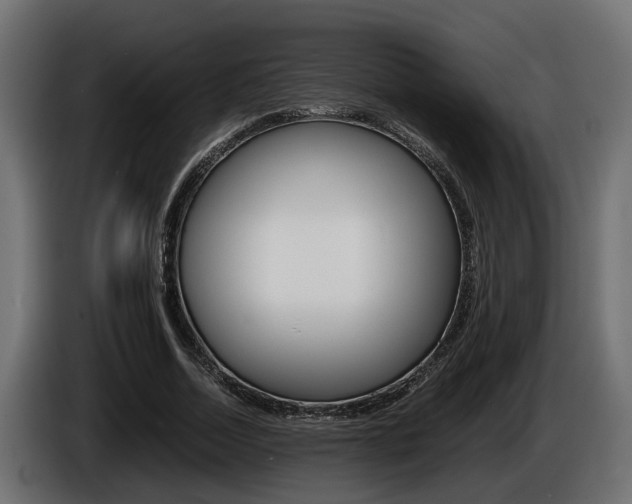 X0000086760730200704130814