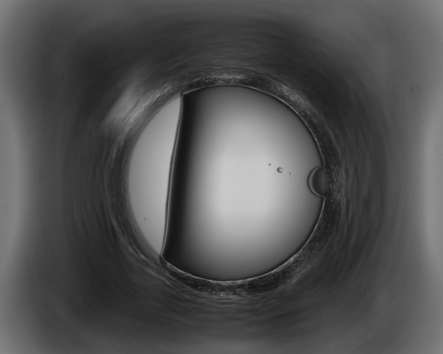 X0000086760731200704130814