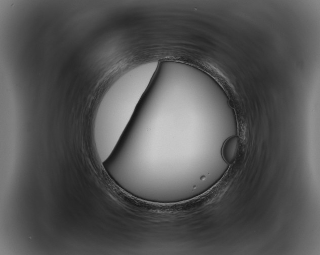 X0000086760733200704130814