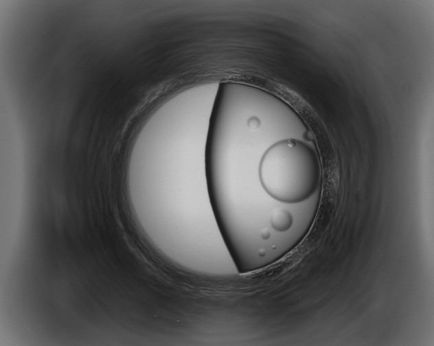 X0000086760734200704130814