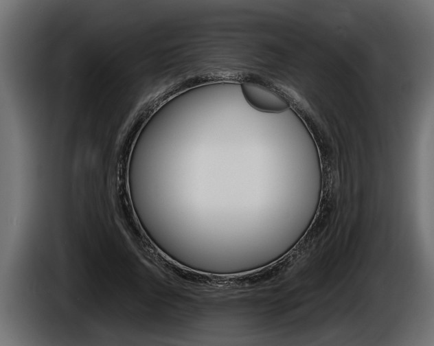 X0000086760736200704130814