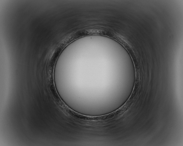 X0000086760737200704130814