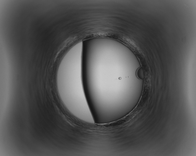 X0000086760738200704130814