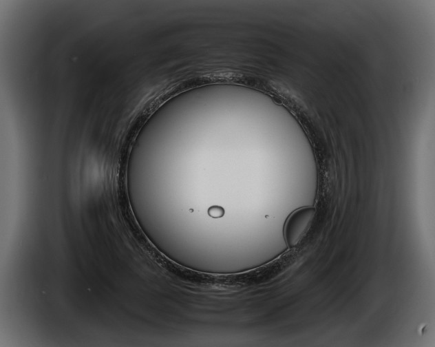 X0000086760739200704130814