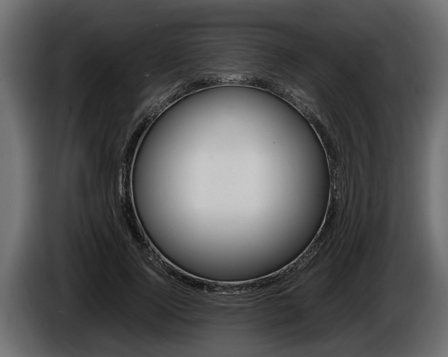 X0000086760740200704130814