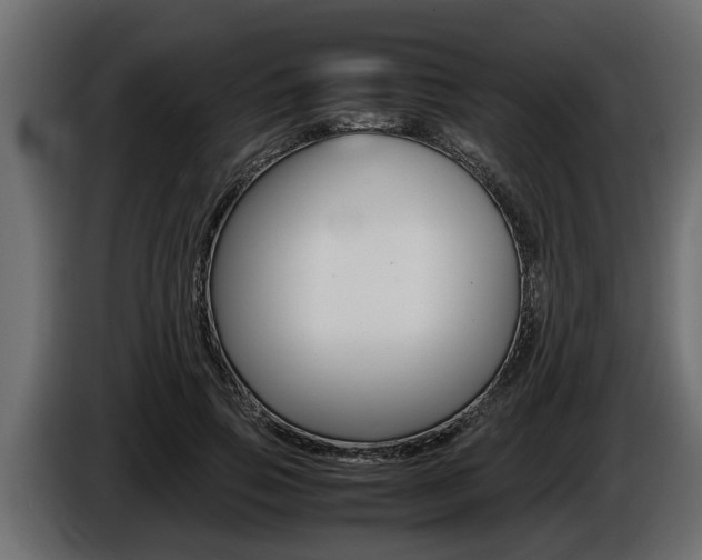 X0000086760741200704130814