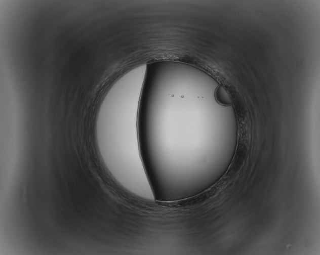 X0000086760742200704130814