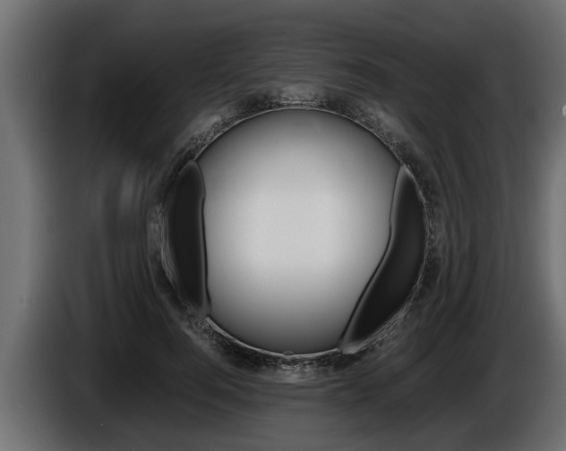 X0000086760744200704130814