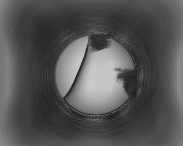 X0000086760745200704130814