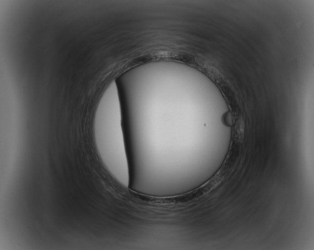 X0000086760746200704130814