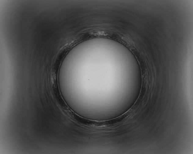 X0000086760747200704130814