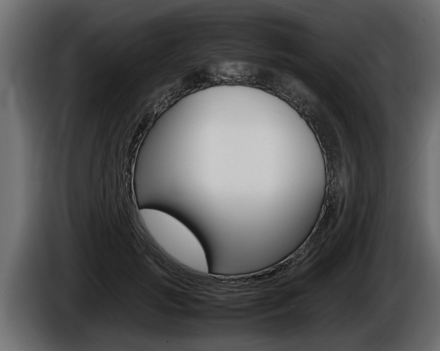X0000086760749200704130814