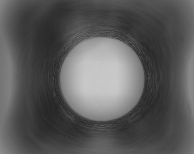 X0000086760750200704130814