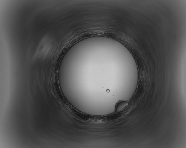 X0000086760751200704130814