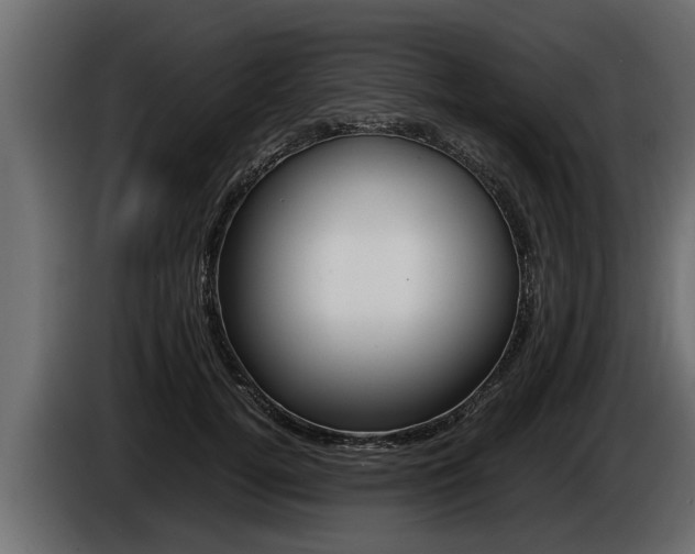 X0000086760752200704130814