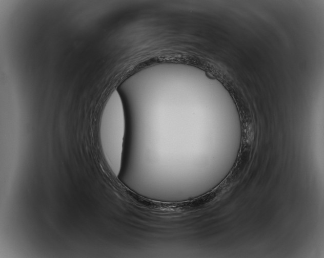 X0000086760753200704130814