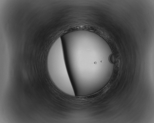 X0000086760754200704130814