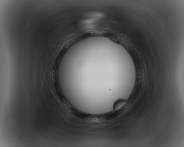 X0000086760755200704130814