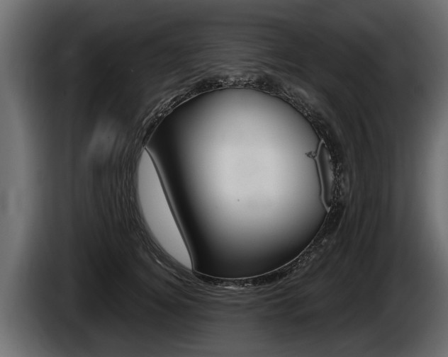 X0000086760756200704130814