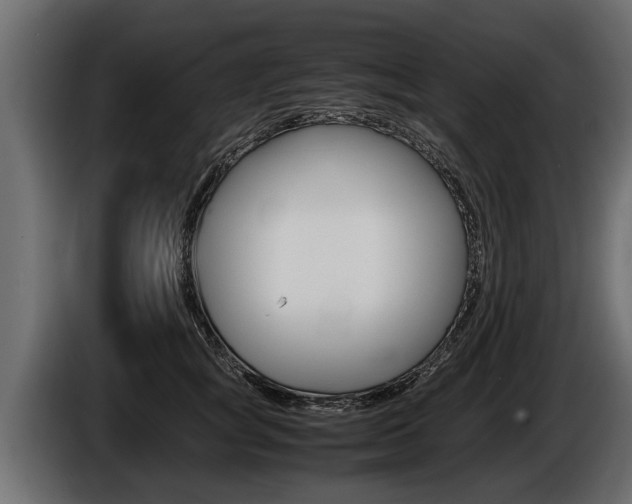 X0000086760757200704130814