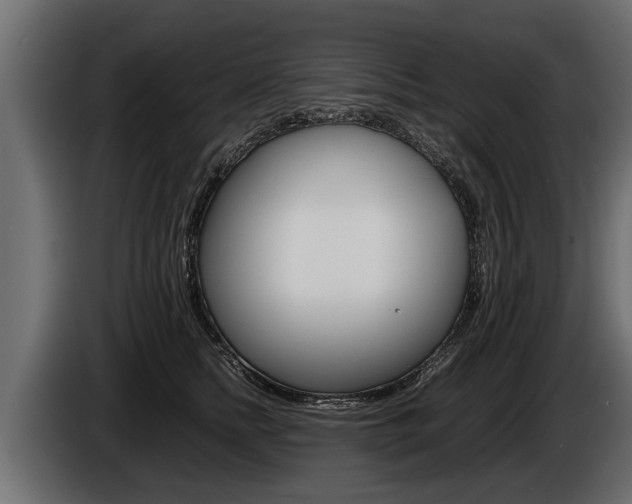 X0000086760758200704130814