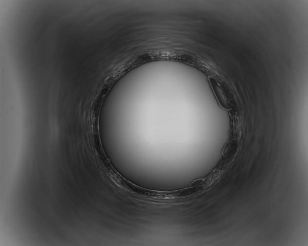 X0000086760760200704130814
